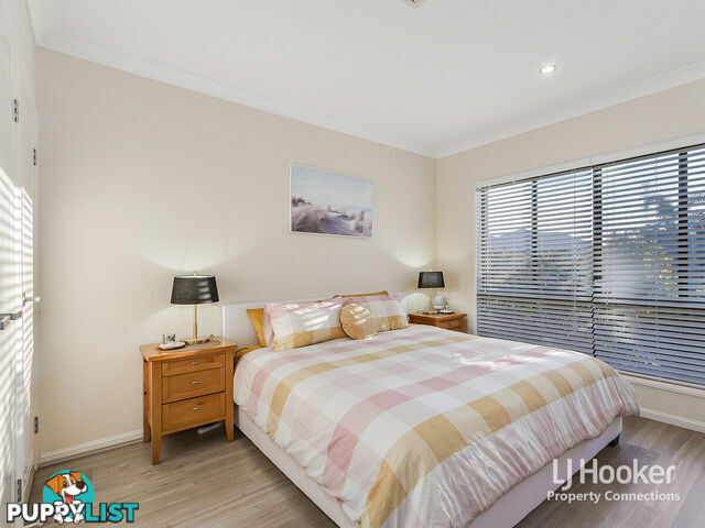 37 Elderflower Circuit GRIFFIN QLD 4503