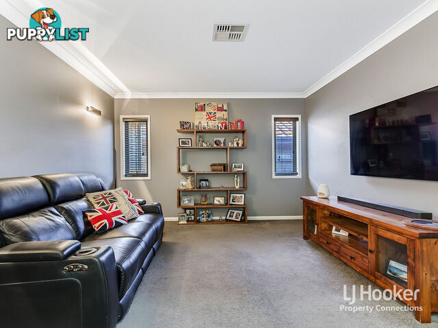 37 Elderflower Circuit GRIFFIN QLD 4503