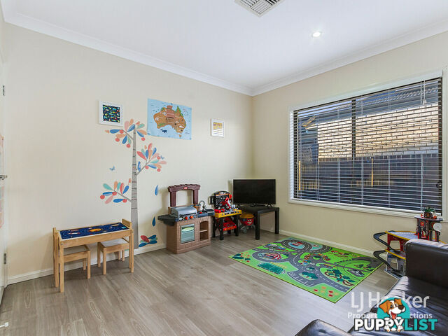 37 Elderflower Circuit GRIFFIN QLD 4503