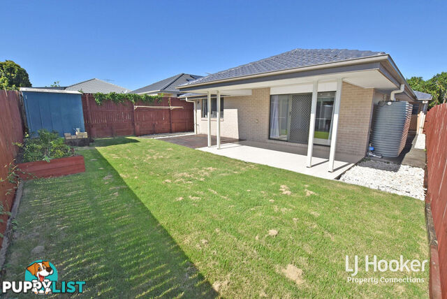 6 Elderflower Circuit GRIFFIN QLD 4503