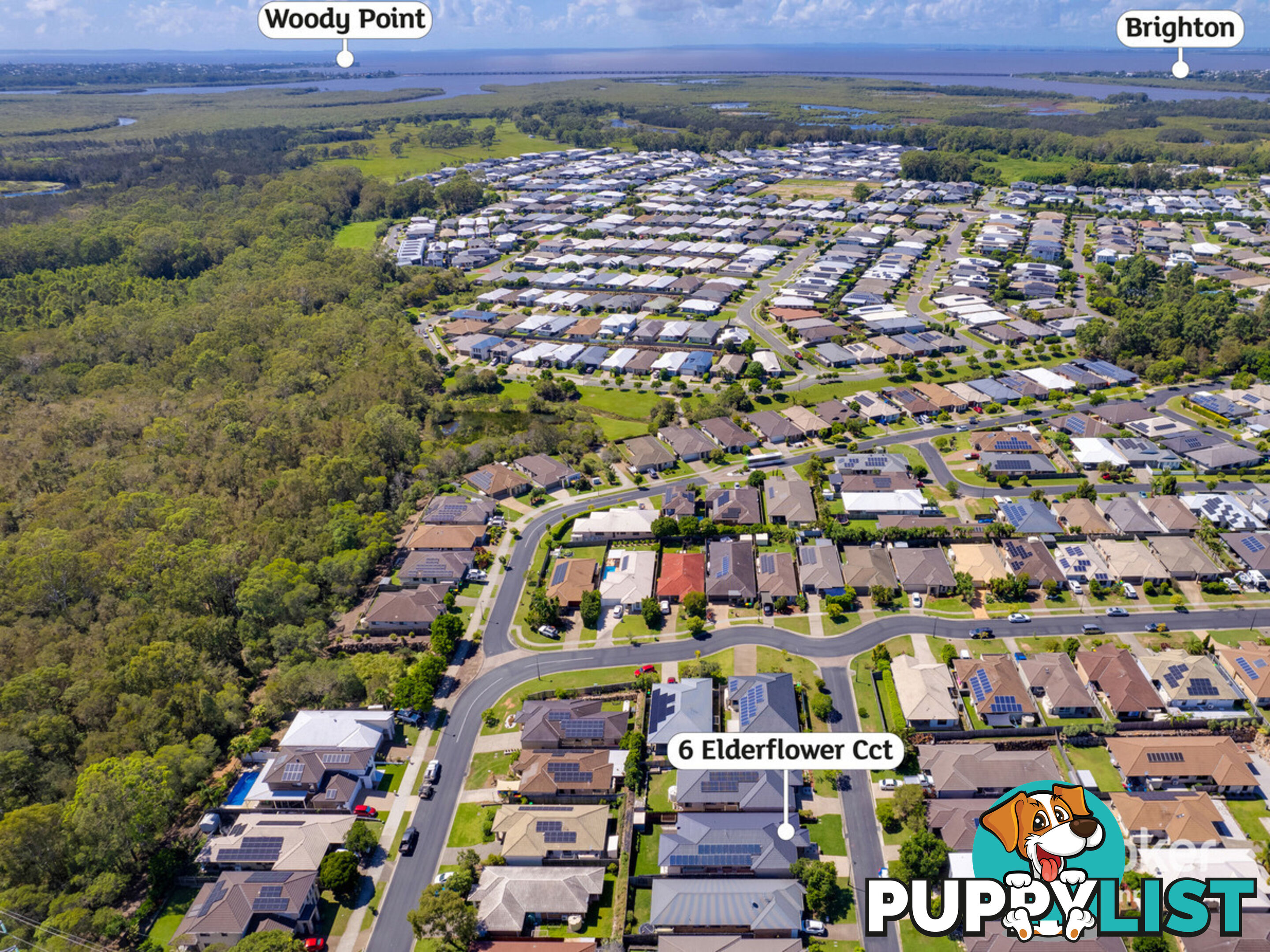 6 Elderflower Circuit GRIFFIN QLD 4503