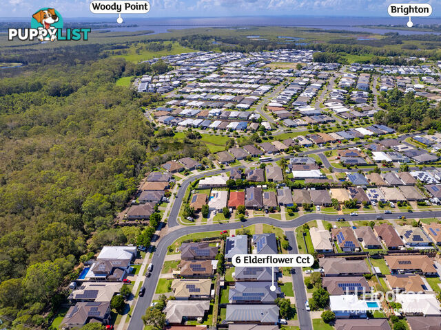 6 Elderflower Circuit GRIFFIN QLD 4503