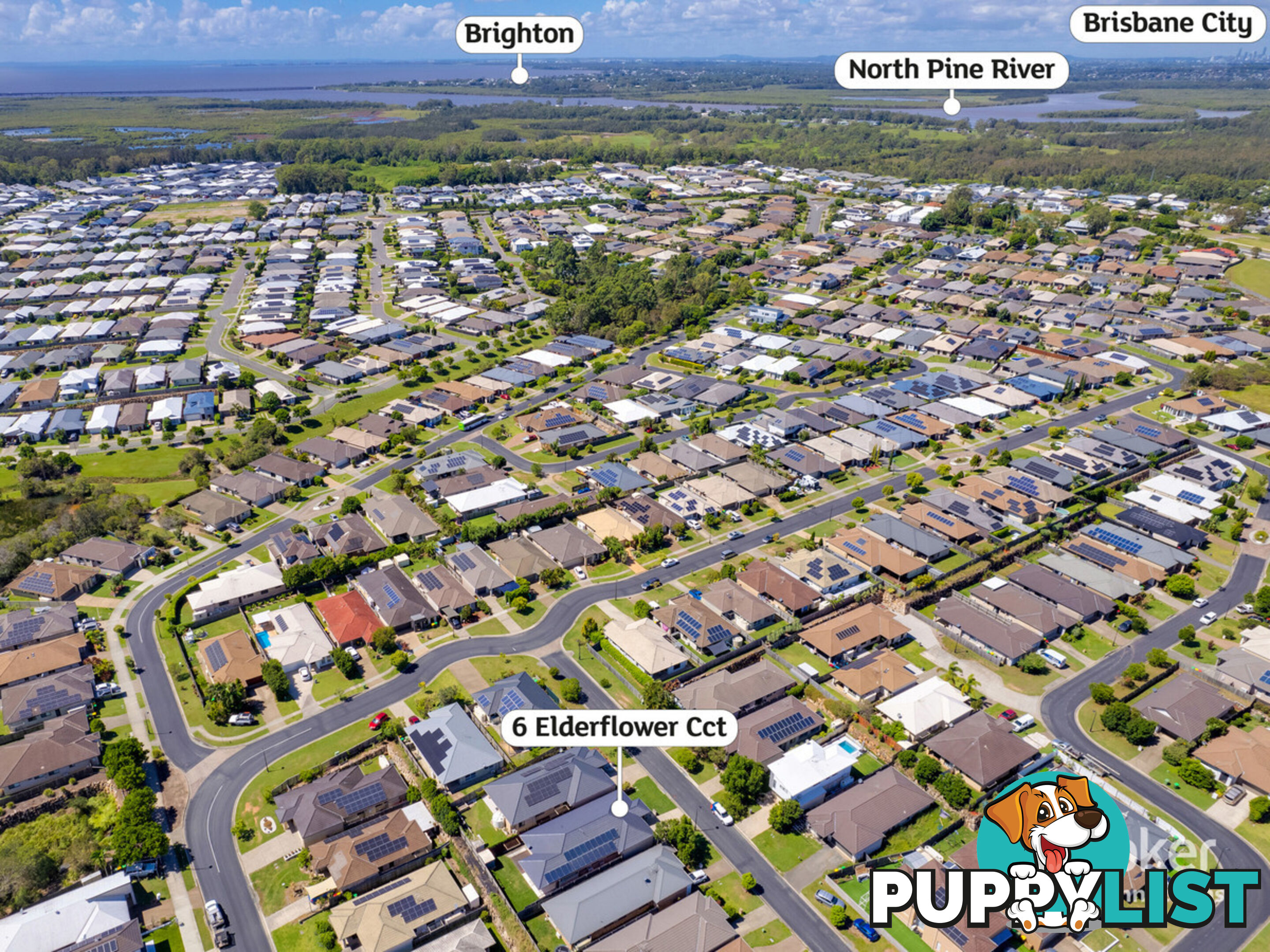 6 Elderflower Circuit GRIFFIN QLD 4503