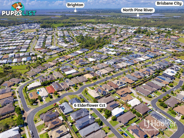 6 Elderflower Circuit GRIFFIN QLD 4503