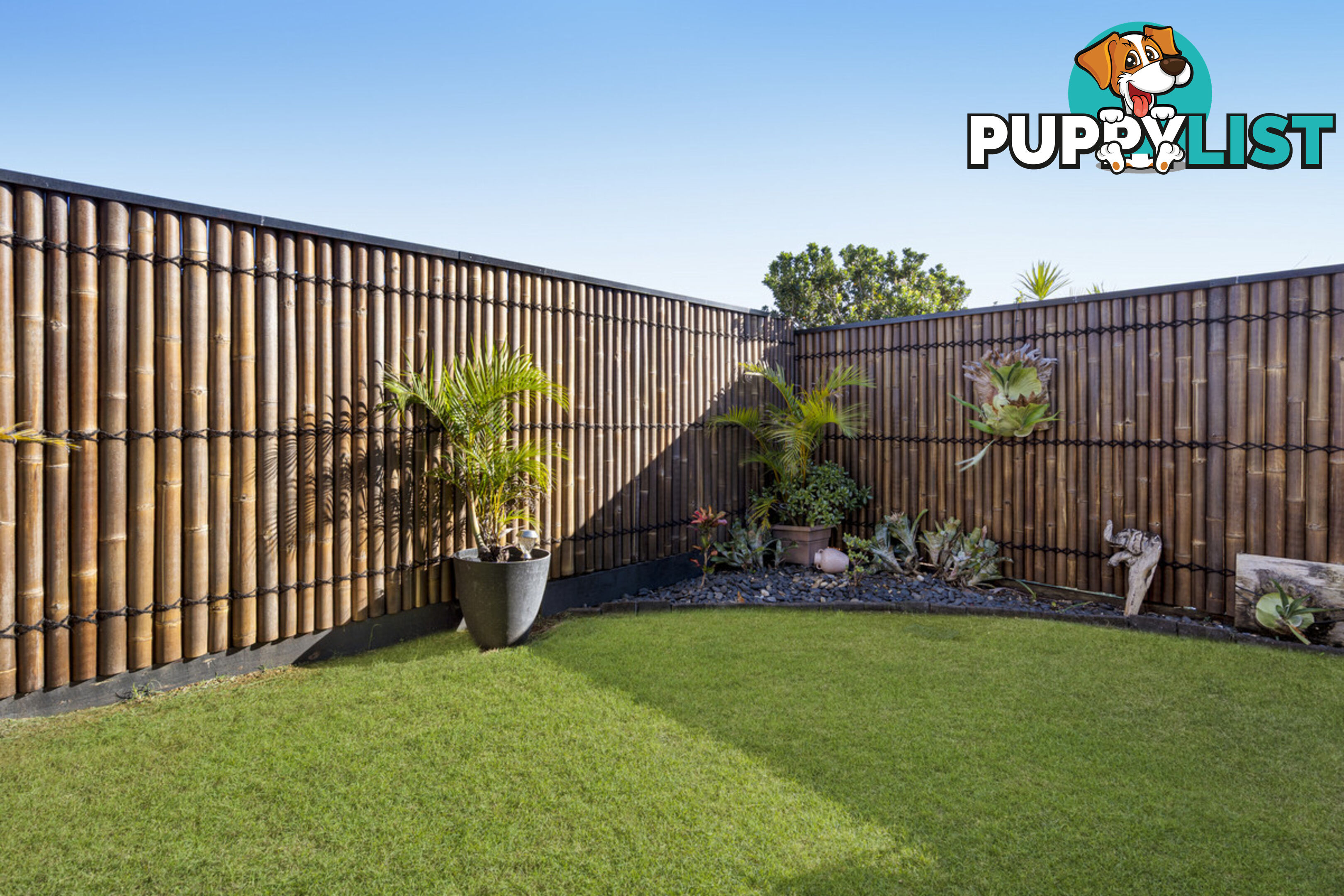 14 Stamens Street MANGO HILL QLD 4509