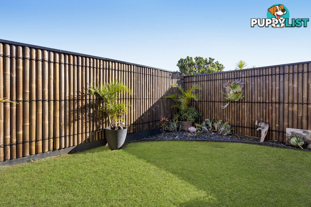 14 Stamens Street MANGO HILL QLD 4509