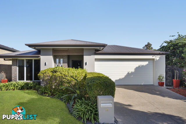 14 Stamens Street MANGO HILL QLD 4509
