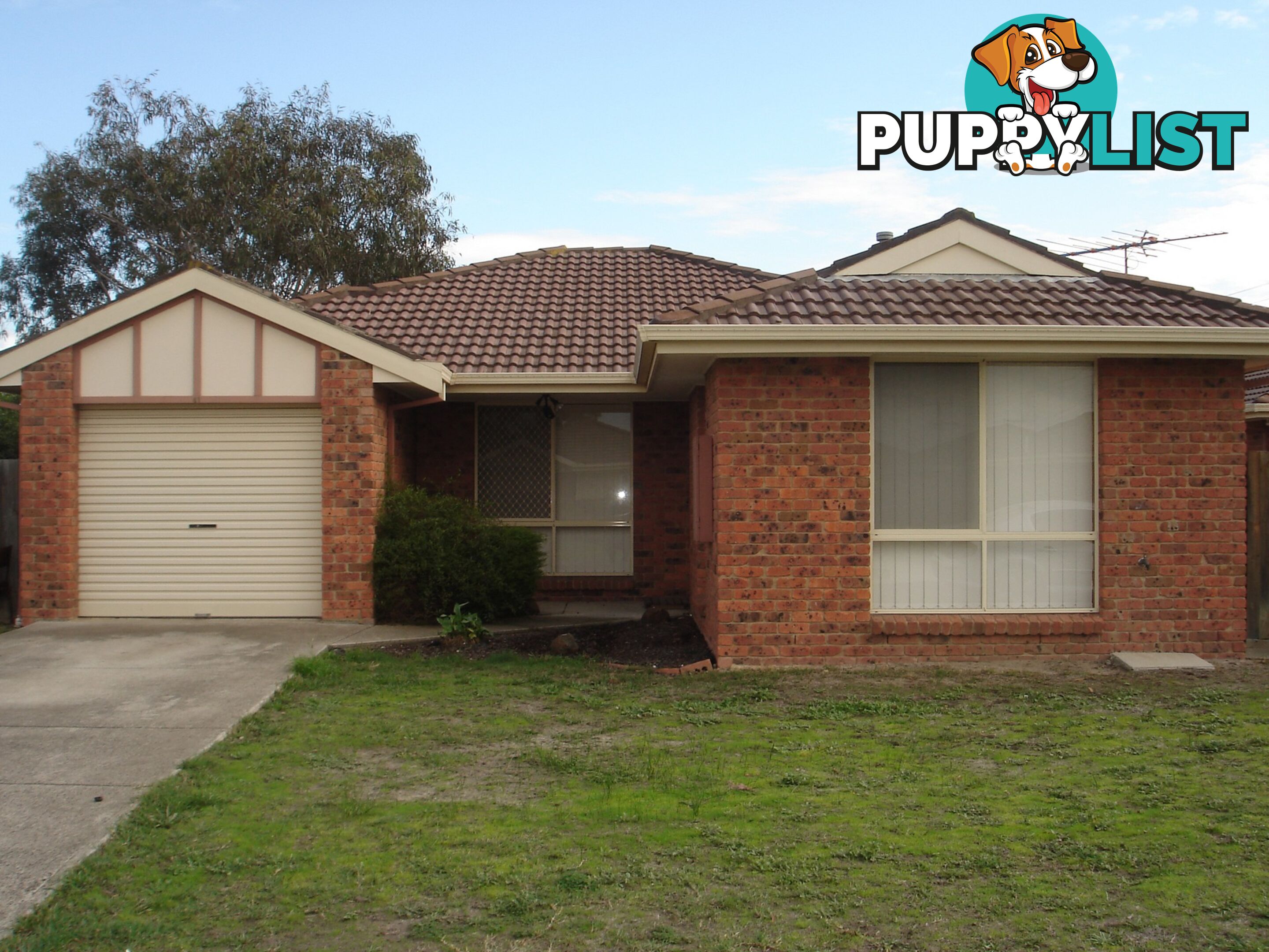 Unit 2/41 Church Street GROVEDALE VIC 3216