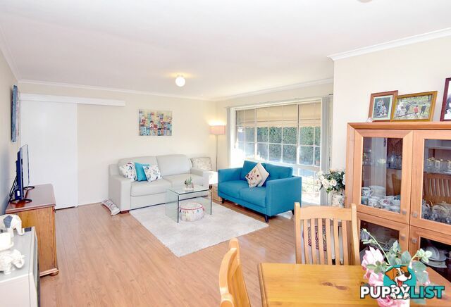 Unit 3/20 Saturn Street NEWCOMB VIC 3219