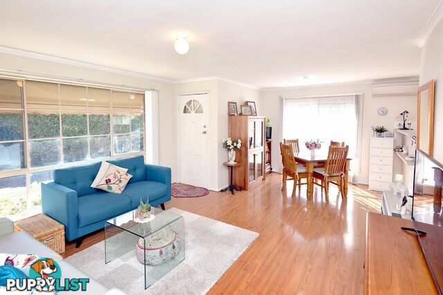 Unit 3/20 Saturn Street NEWCOMB VIC 3219