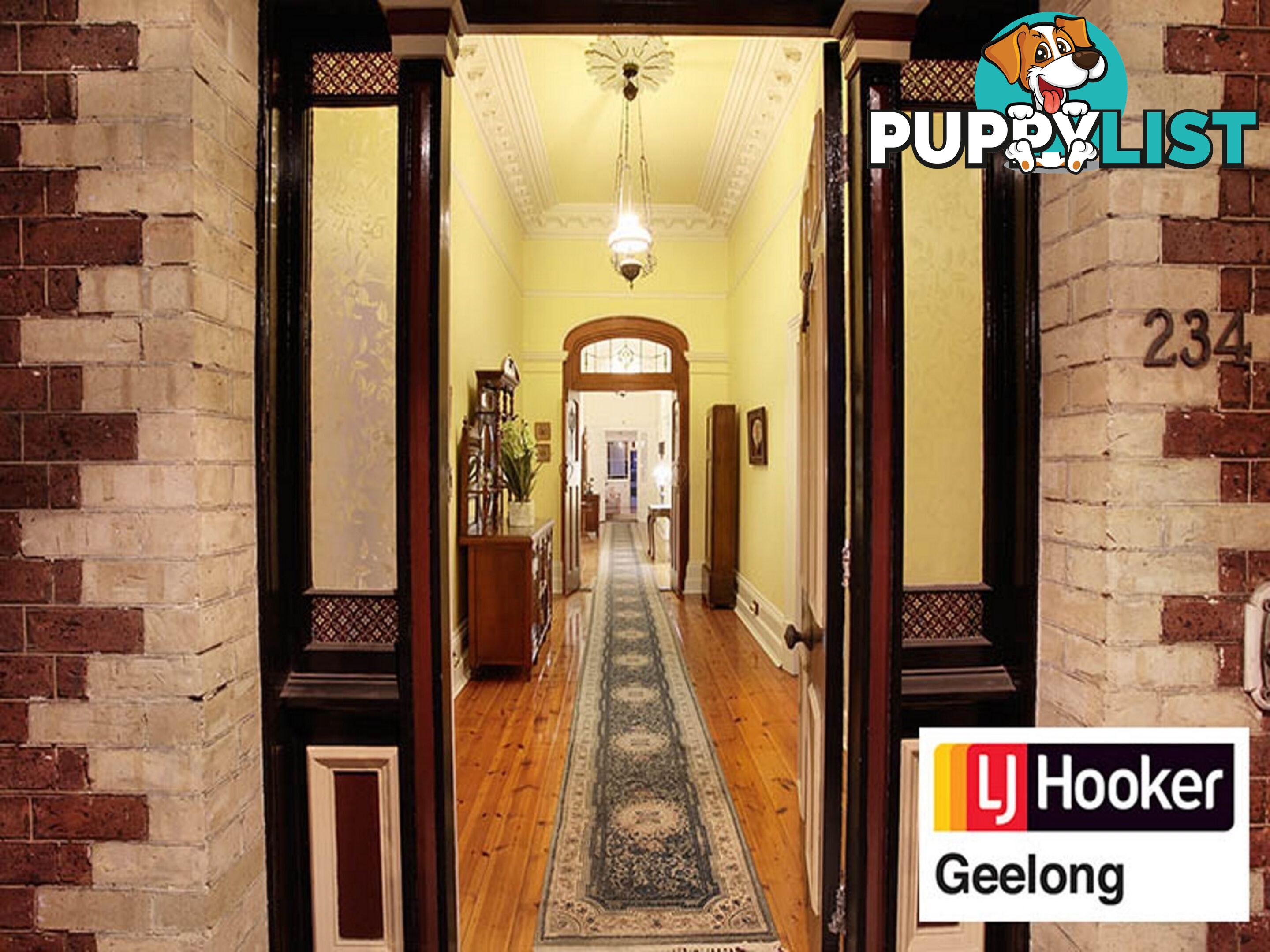 234 Latrobe Terrace GEELONG WEST VIC 3218