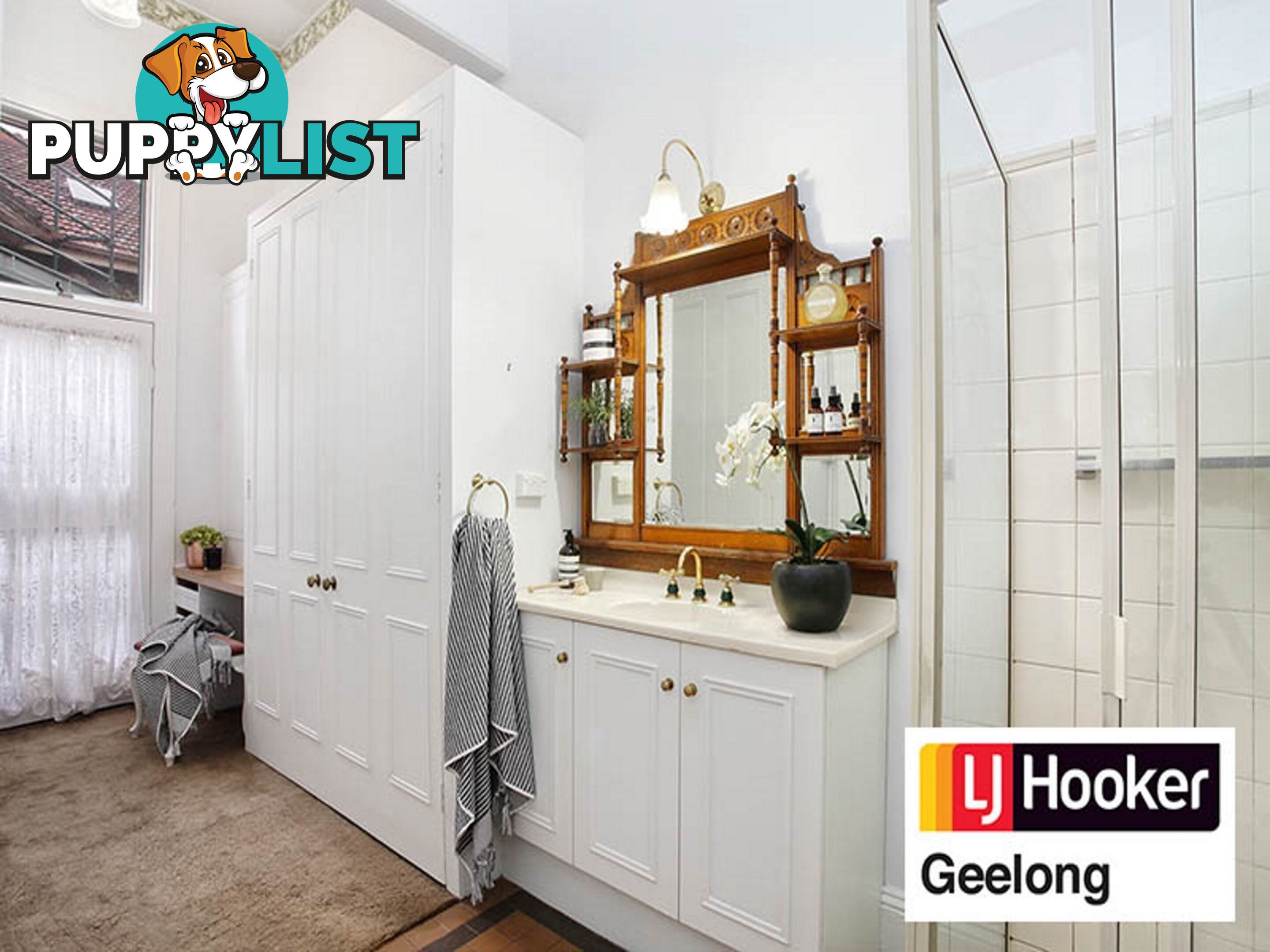 234 Latrobe Terrace GEELONG WEST VIC 3218