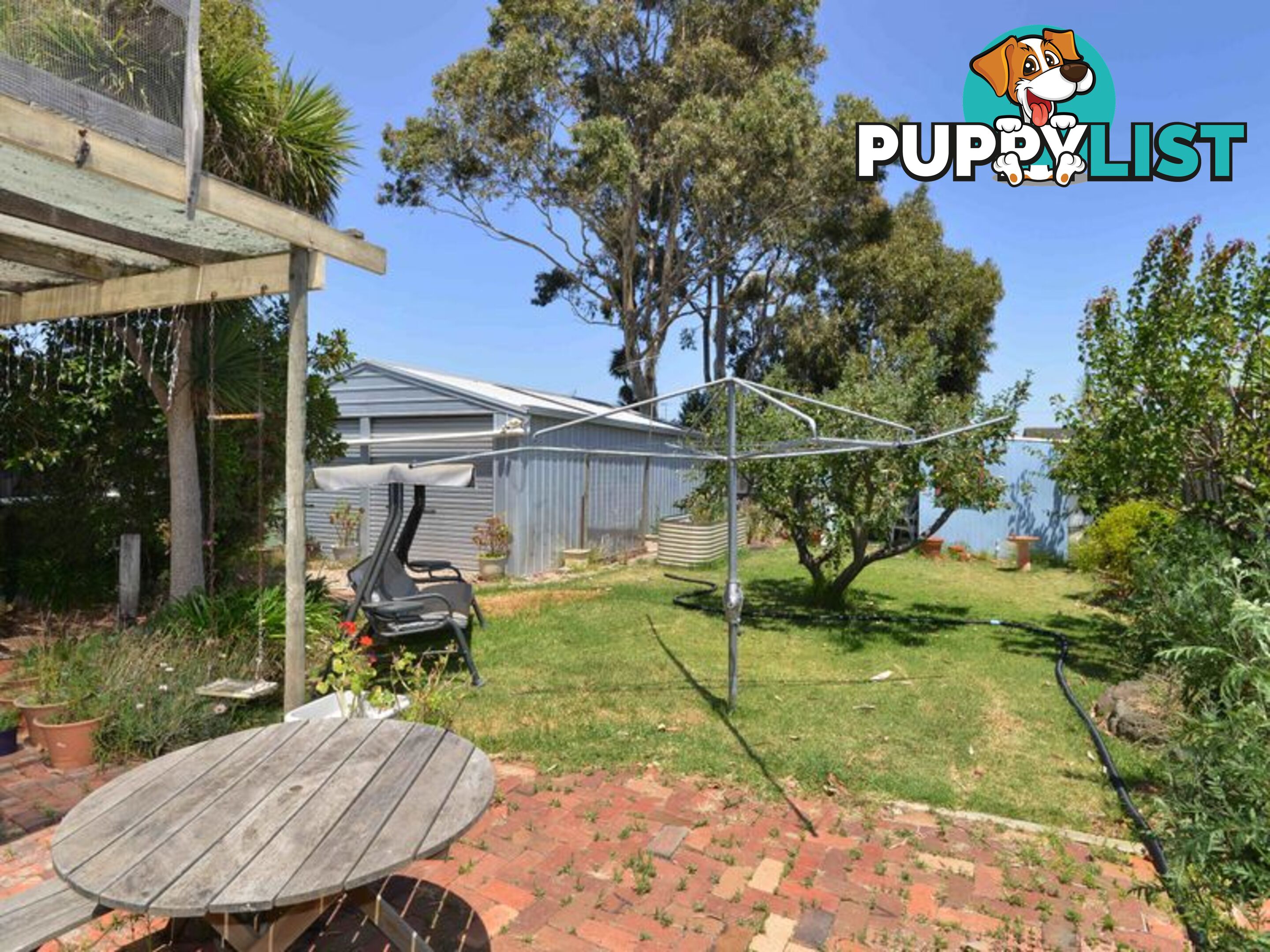 20 Truscott Street WHITTINGTON VIC 3219