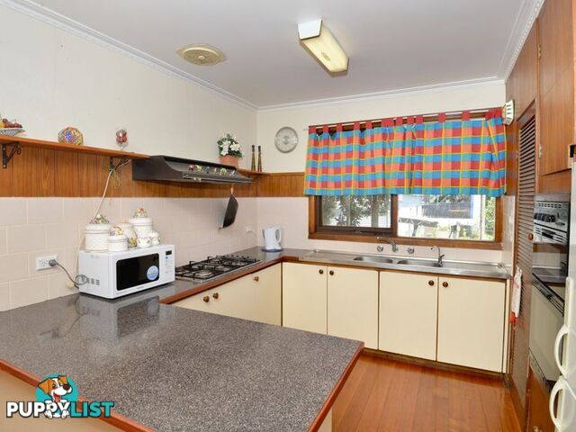 20 Truscott Street WHITTINGTON VIC 3219