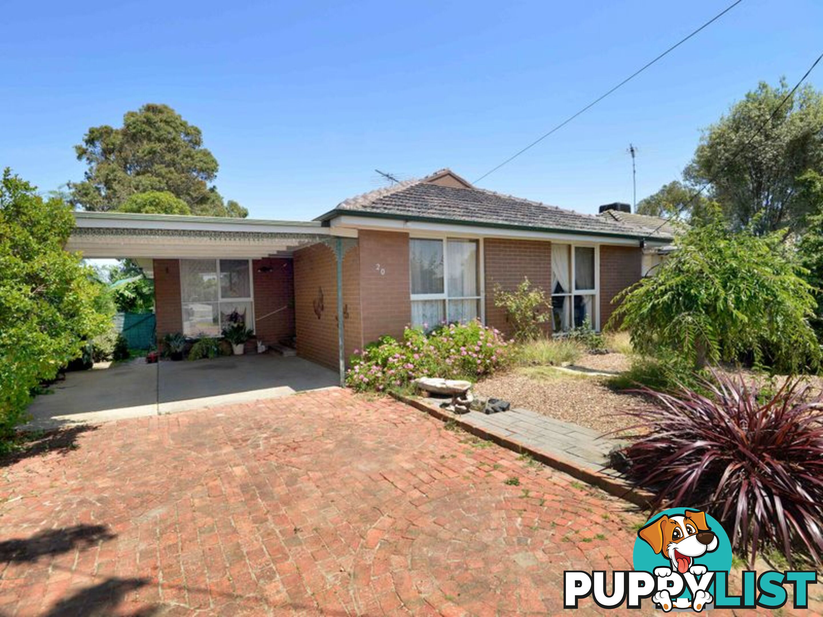 20 Truscott Street WHITTINGTON VIC 3219