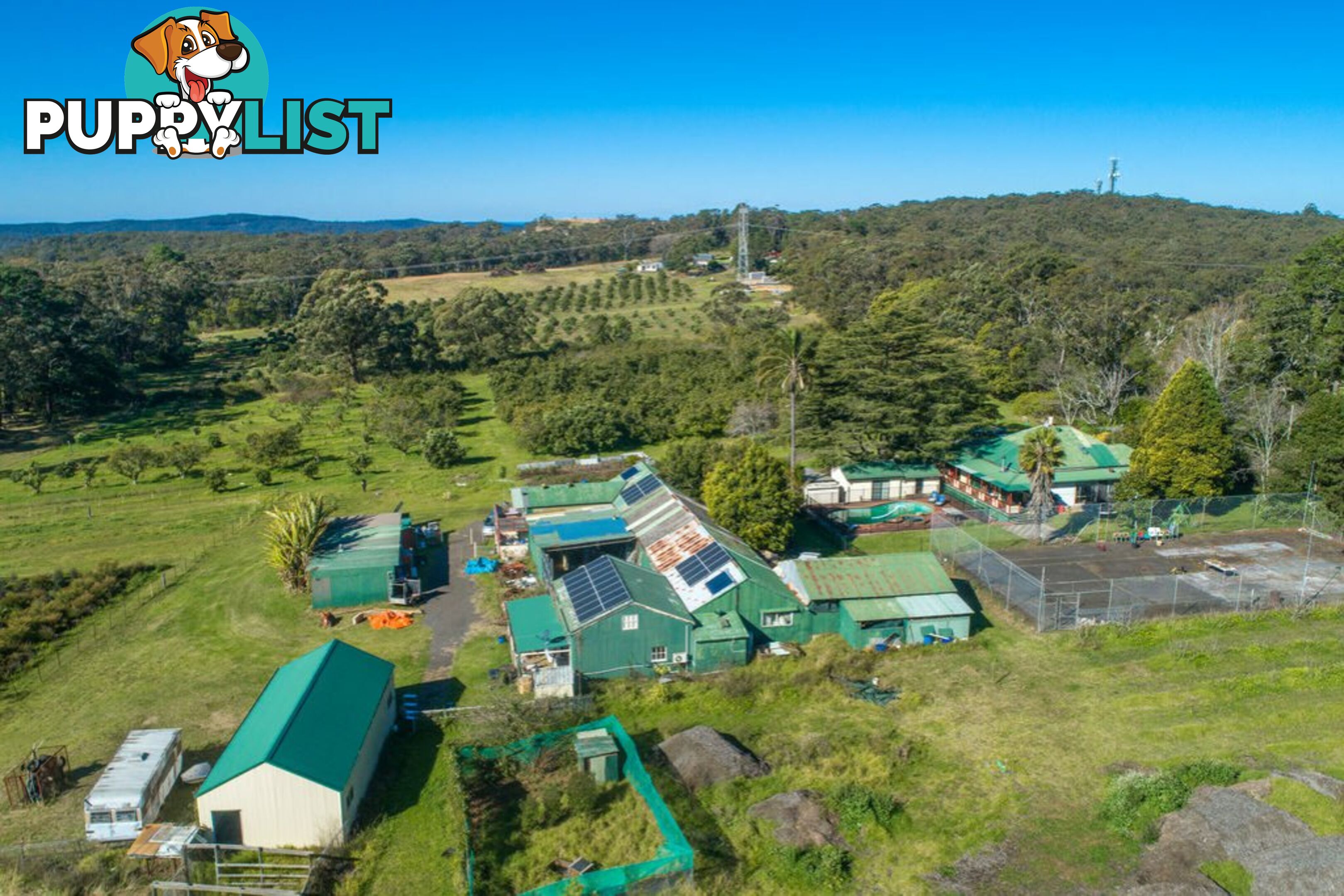 130 Hallards Road CENTRAL MANGROVE NSW 2250