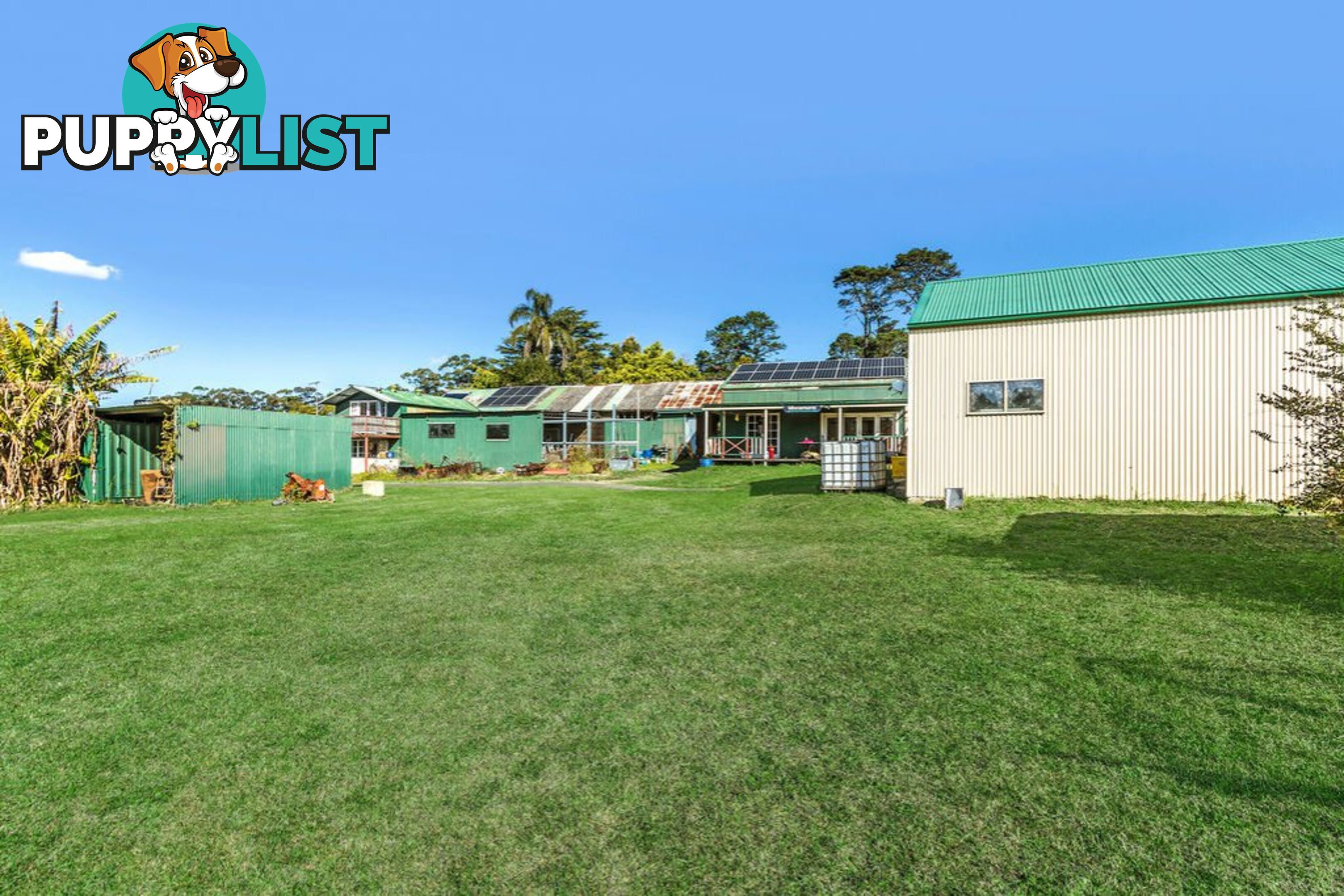 130 Hallards Road CENTRAL MANGROVE NSW 2250