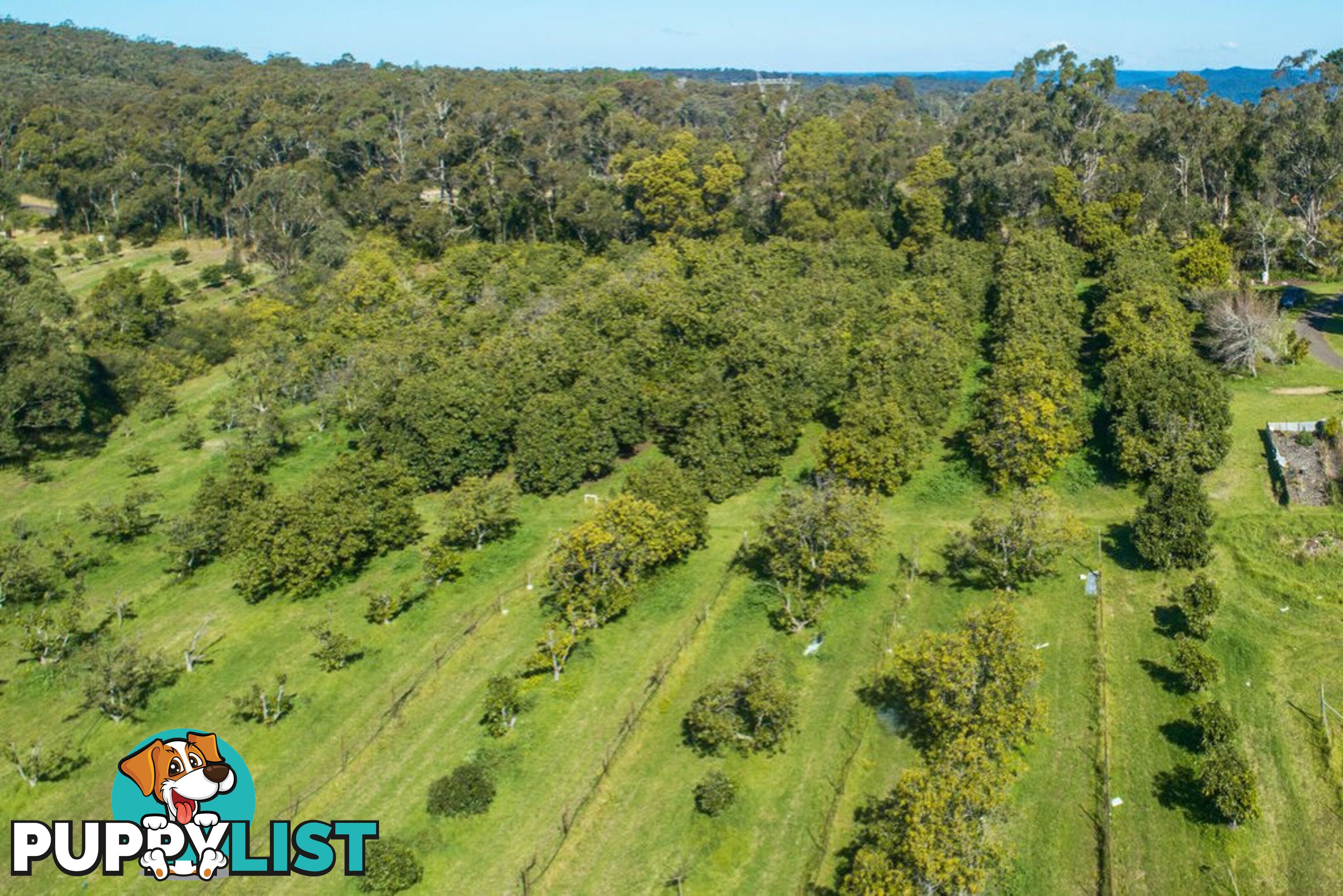 130 Hallards Road CENTRAL MANGROVE NSW 2250