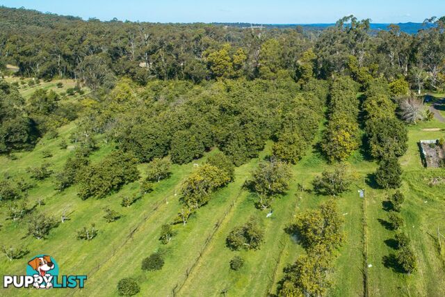 130 Hallards Road CENTRAL MANGROVE NSW 2250