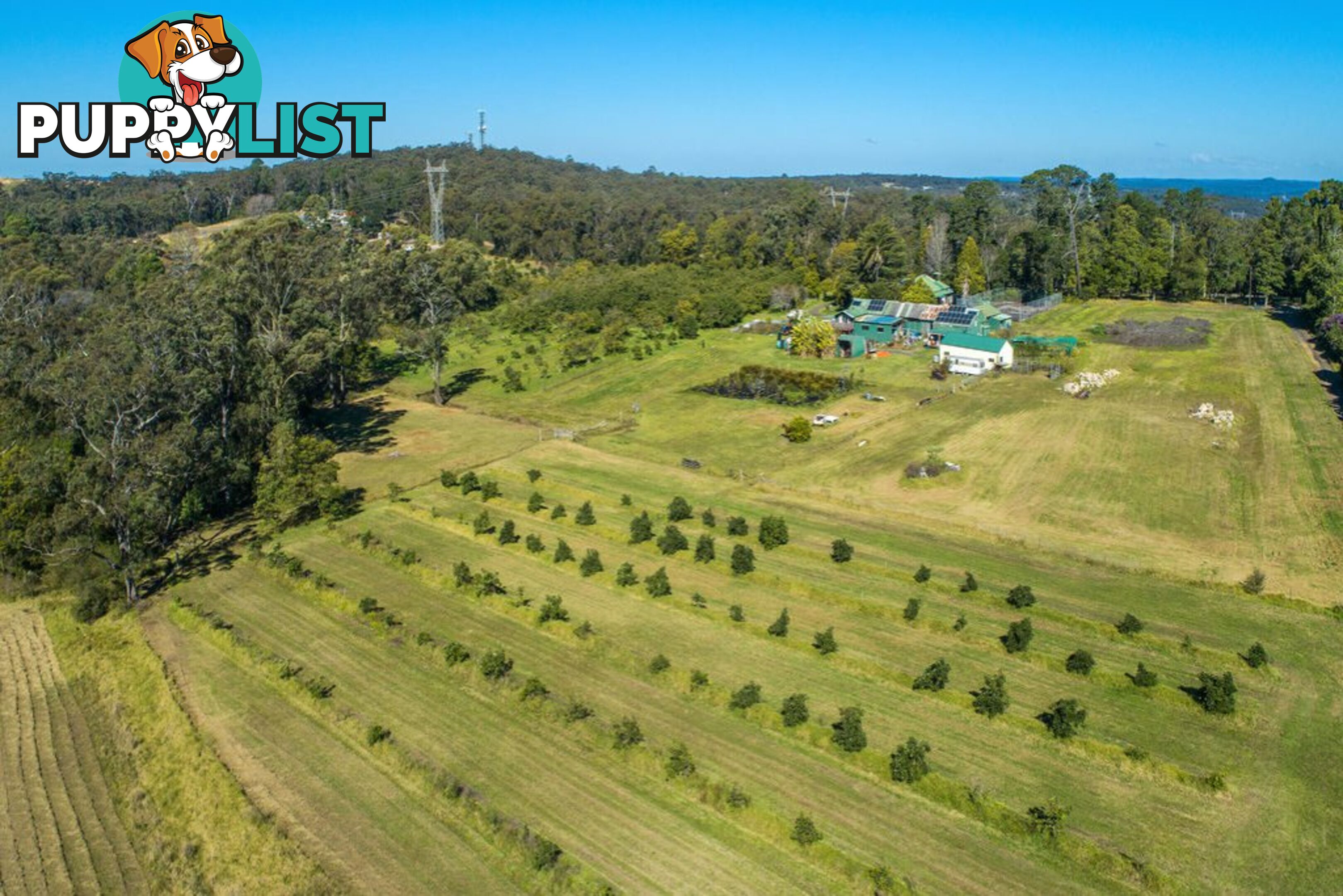 130 Hallards Road CENTRAL MANGROVE NSW 2250