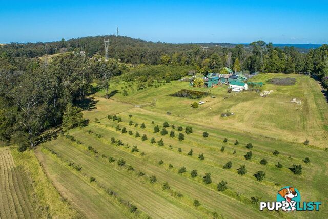 130 Hallards Road CENTRAL MANGROVE NSW 2250