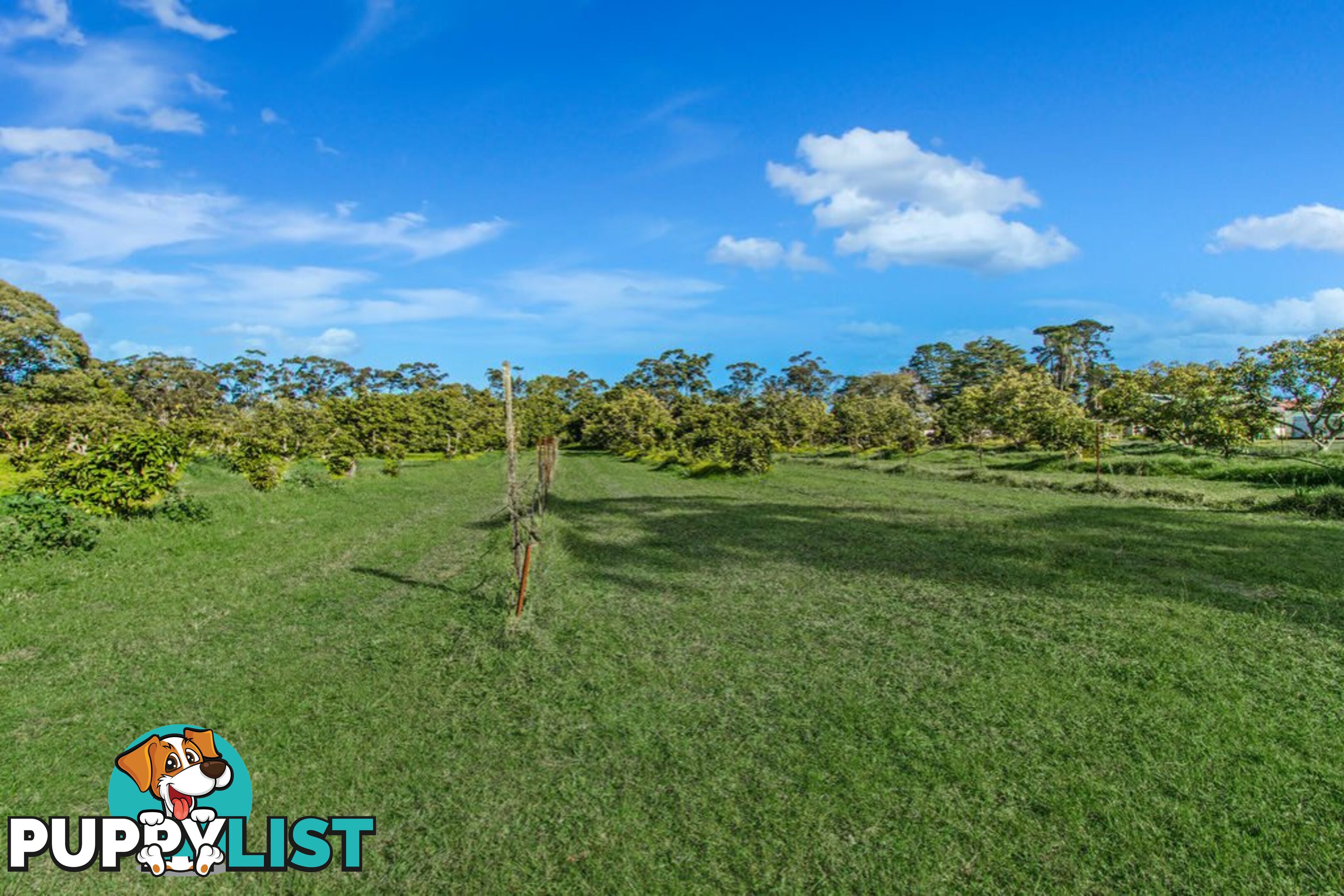 130 Hallards Road CENTRAL MANGROVE NSW 2250