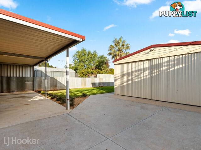 13 Winkfield Street DAVOREN PARK SA 5113