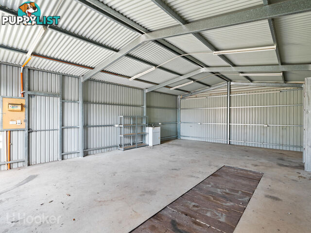 13 Winkfield Street DAVOREN PARK SA 5113