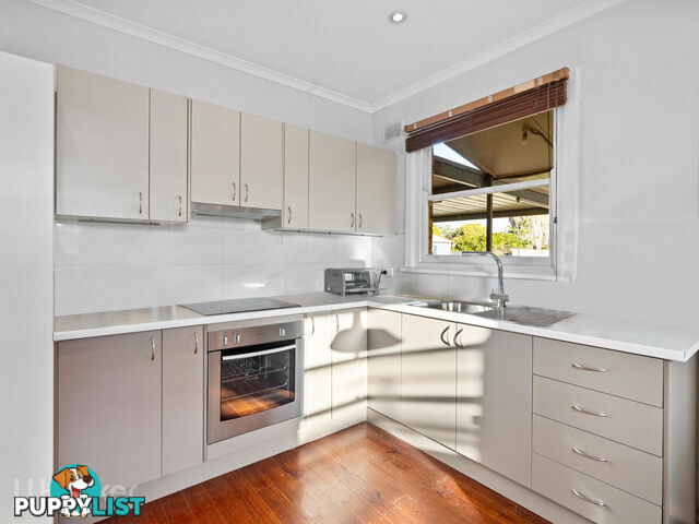 13 Winkfield Street DAVOREN PARK SA 5113