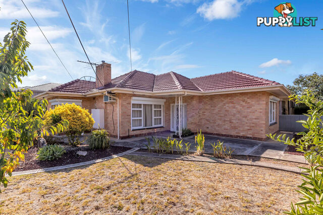 20 Rostrevor Avenue ROSTREVOR SA 5073