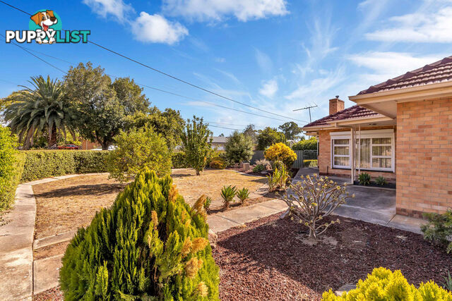 20 Rostrevor Avenue ROSTREVOR SA 5073