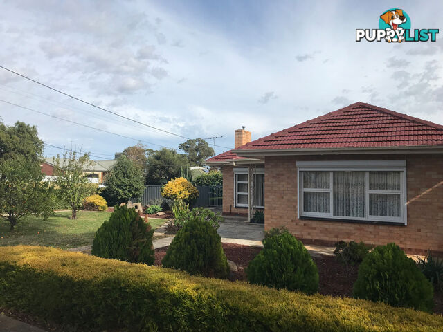 20 Rostrevor Avenue ROSTREVOR SA 5073