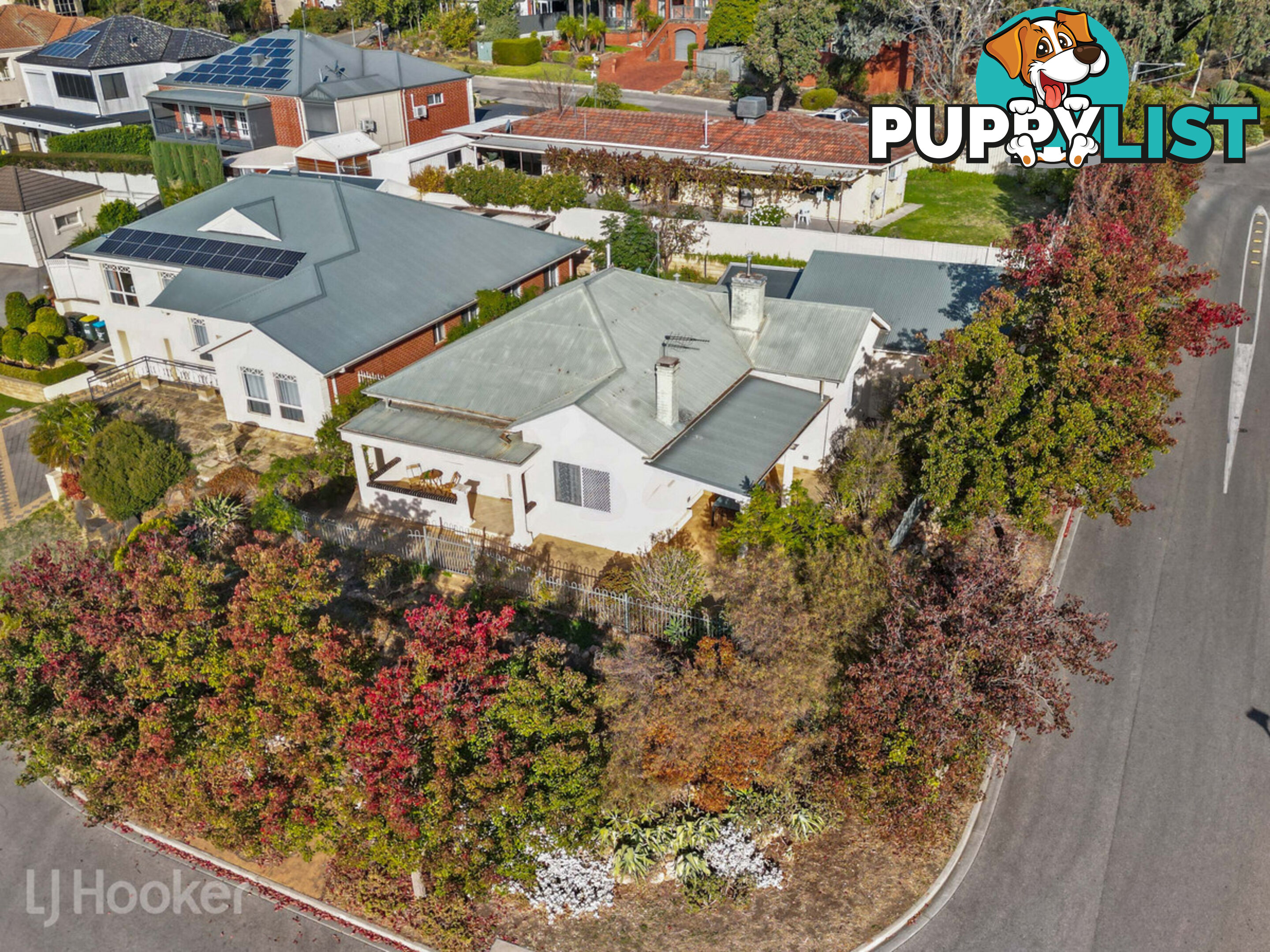 11 Tim Place ATHELSTONE SA 5076