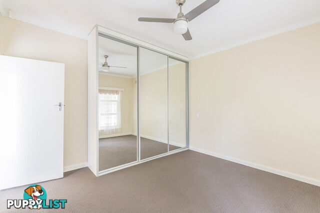 115 Stradbroke Road ROSTREVOR SA 5073