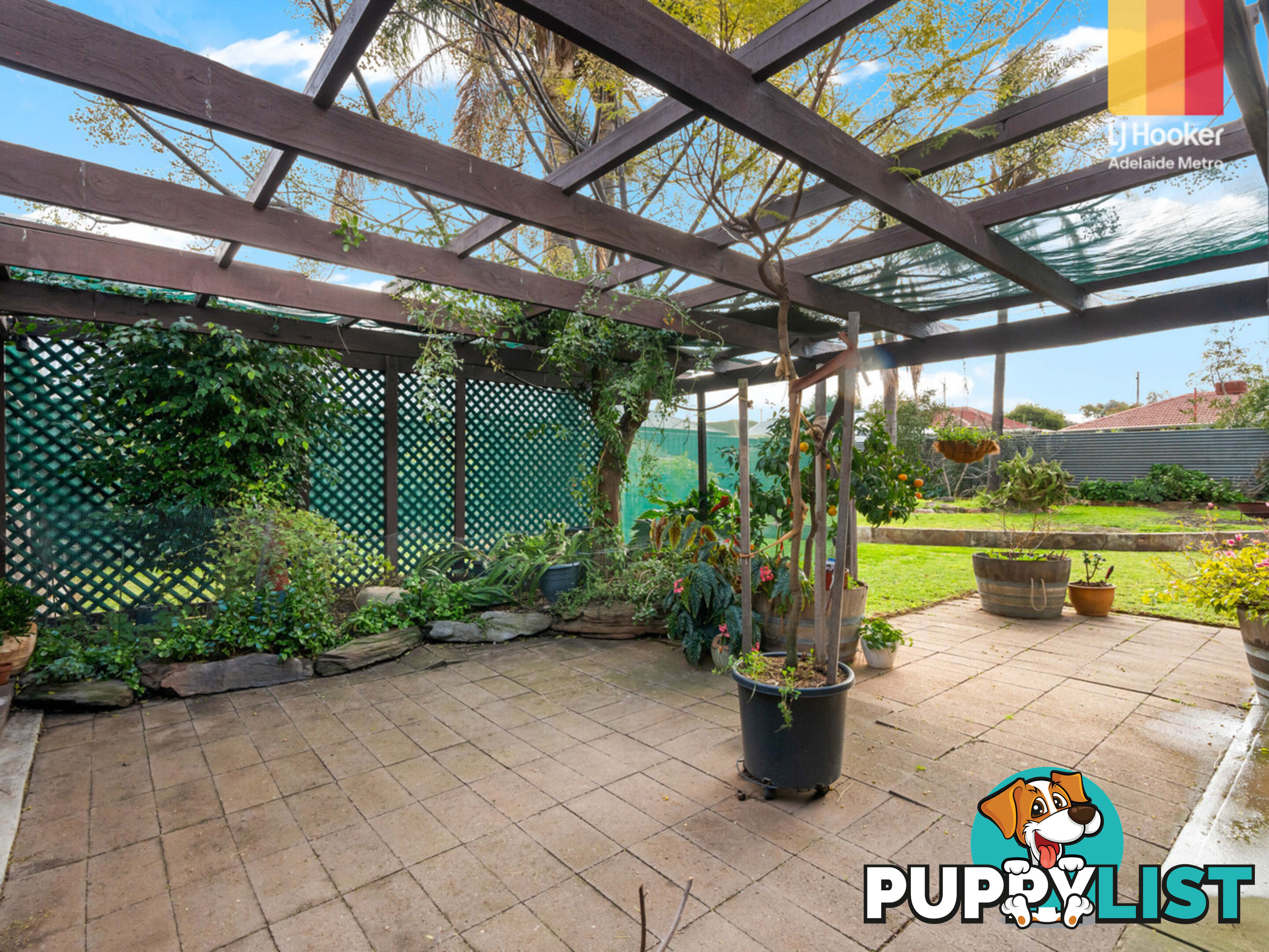 20 Sturt Road VALLEY VIEW SA 5093
