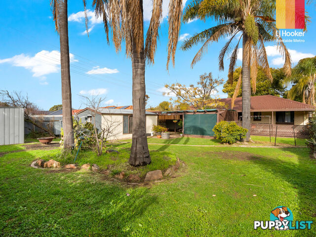 20 Sturt Road VALLEY VIEW SA 5093