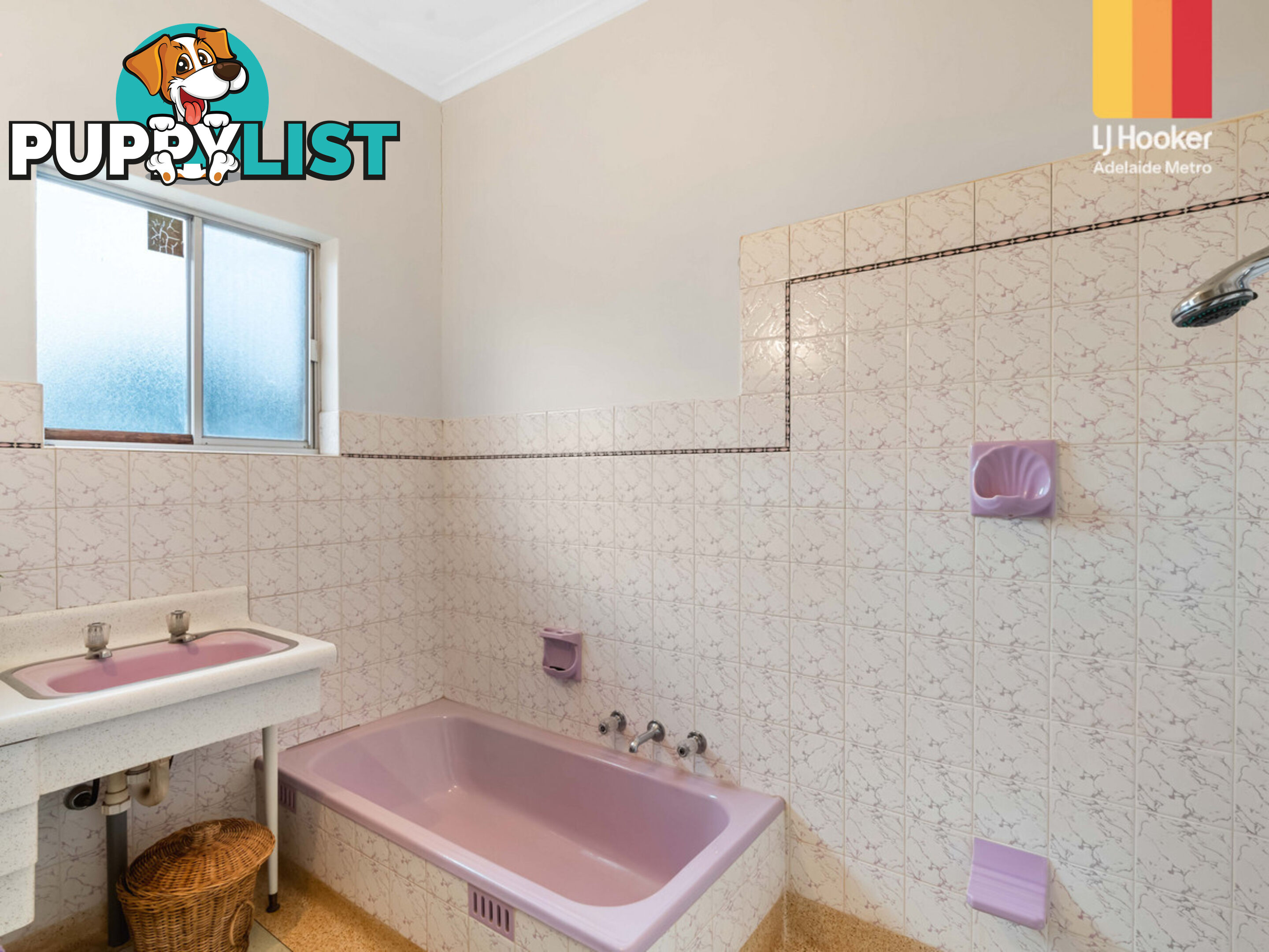 43 Second Avenue PAYNEHAM SOUTH SA 5070