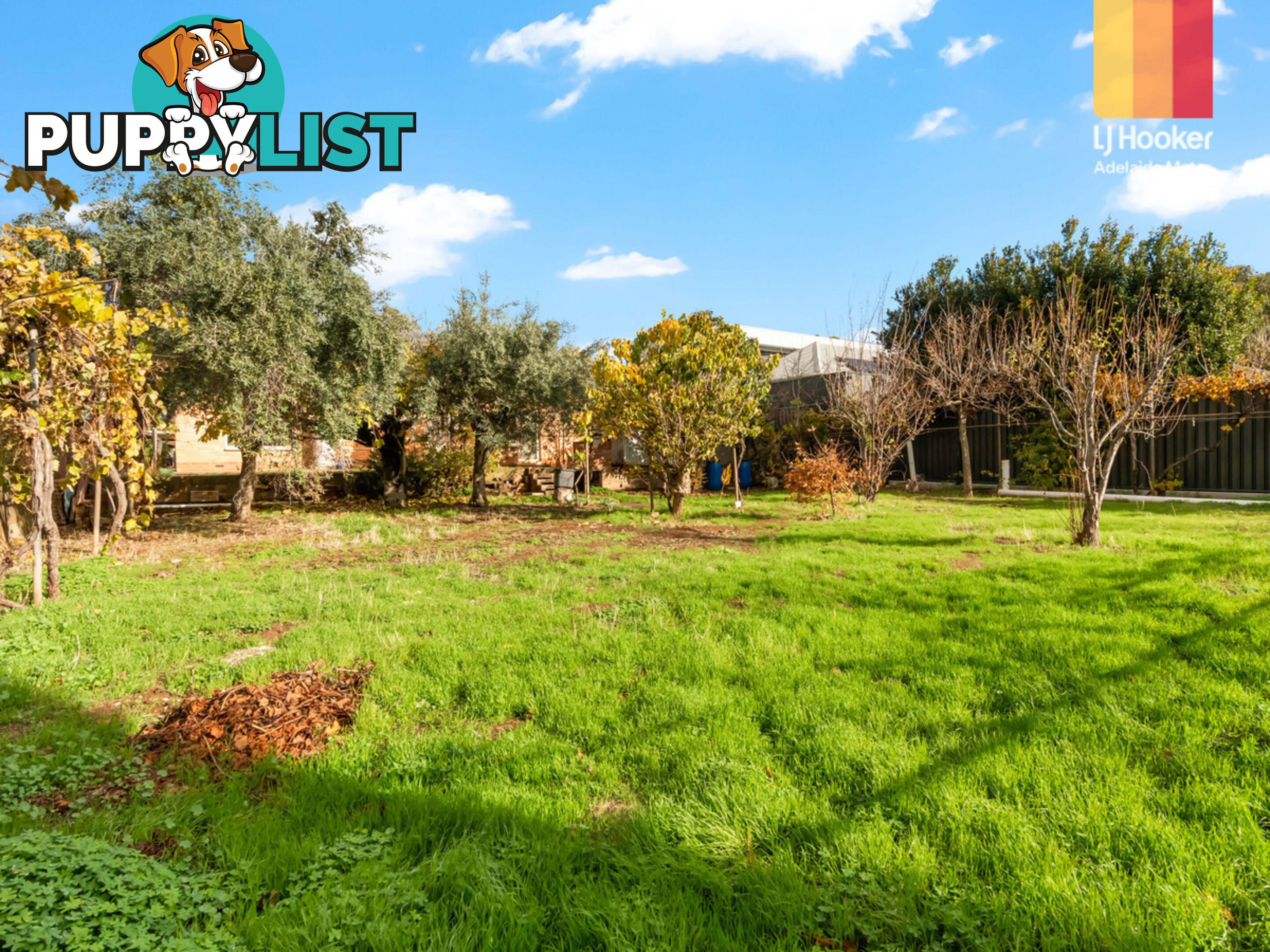 43 Second Avenue PAYNEHAM SOUTH SA 5070