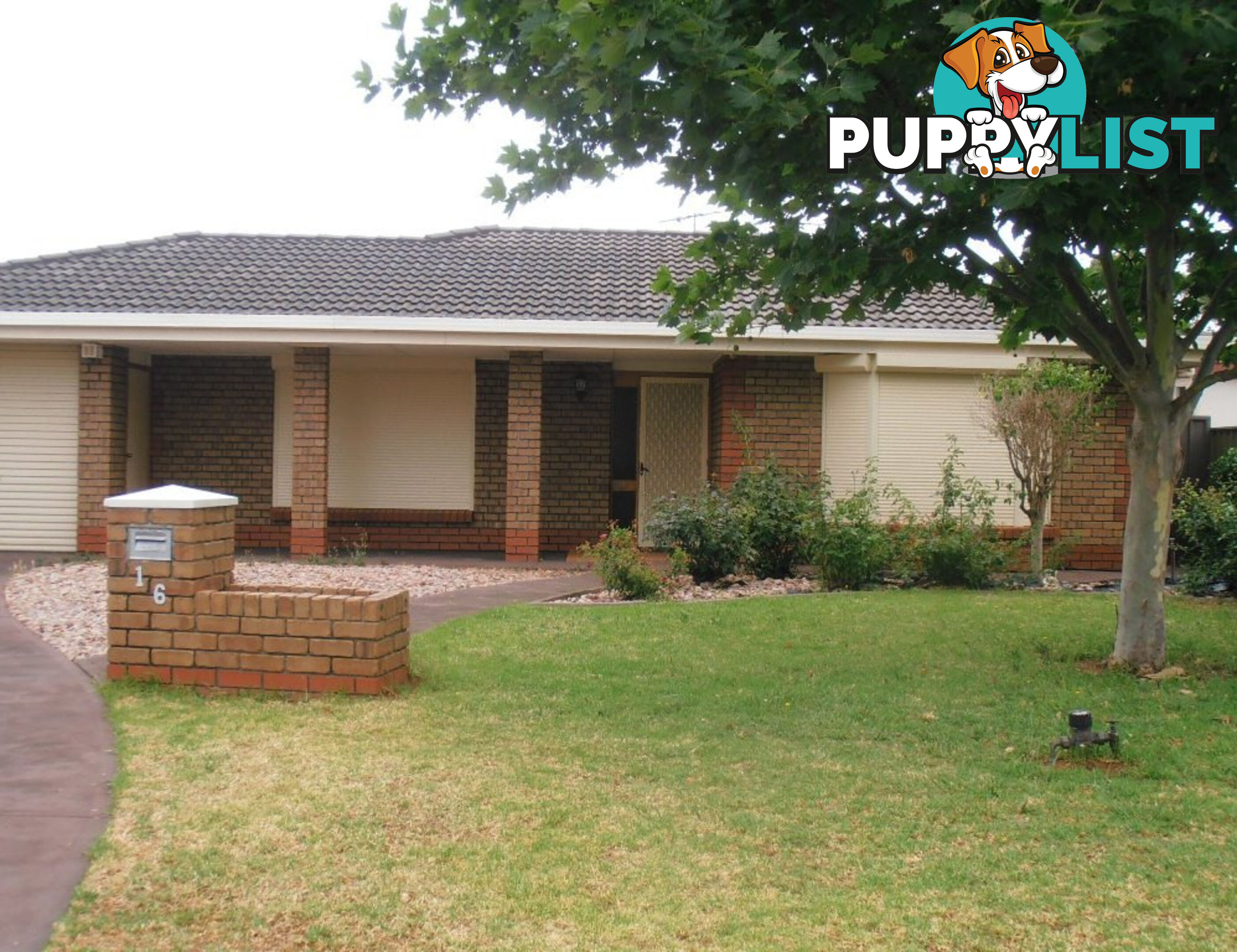 16 Carnation Court PARAFIELD GARDENS SA 5107