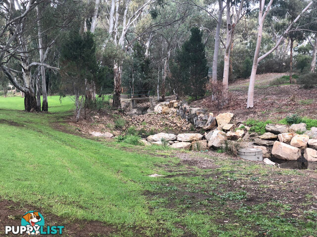 8a & 8b Range Road PARADISE SA 5075