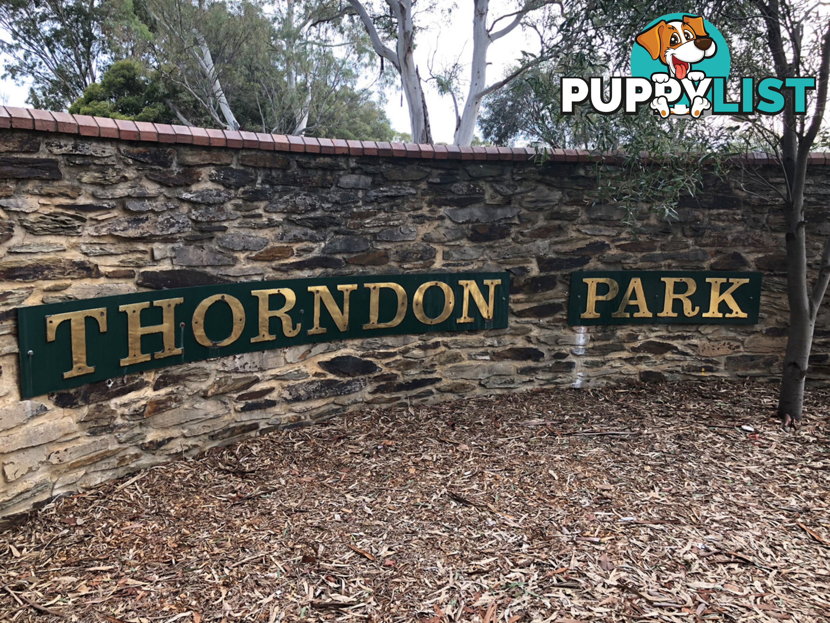 8a & 8b Range Road PARADISE SA 5075