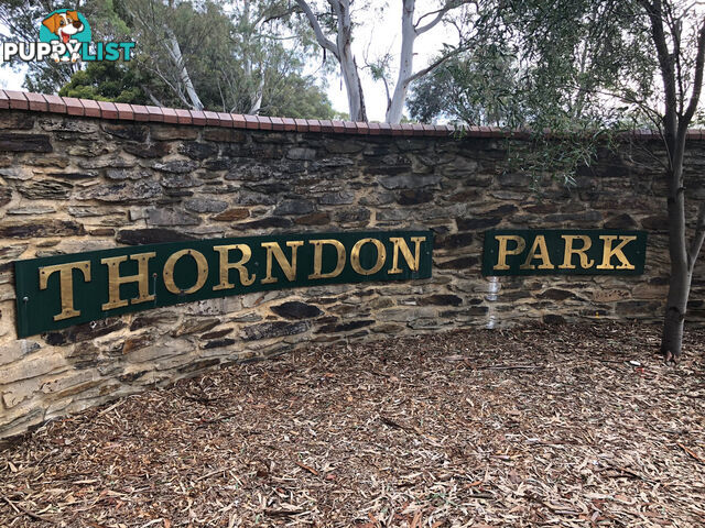 8a & 8b Range Road PARADISE SA 5075