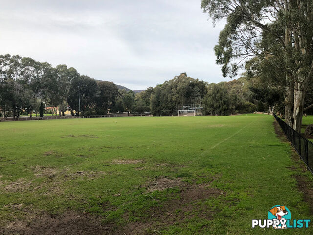 8a & 8b Range Road PARADISE SA 5075