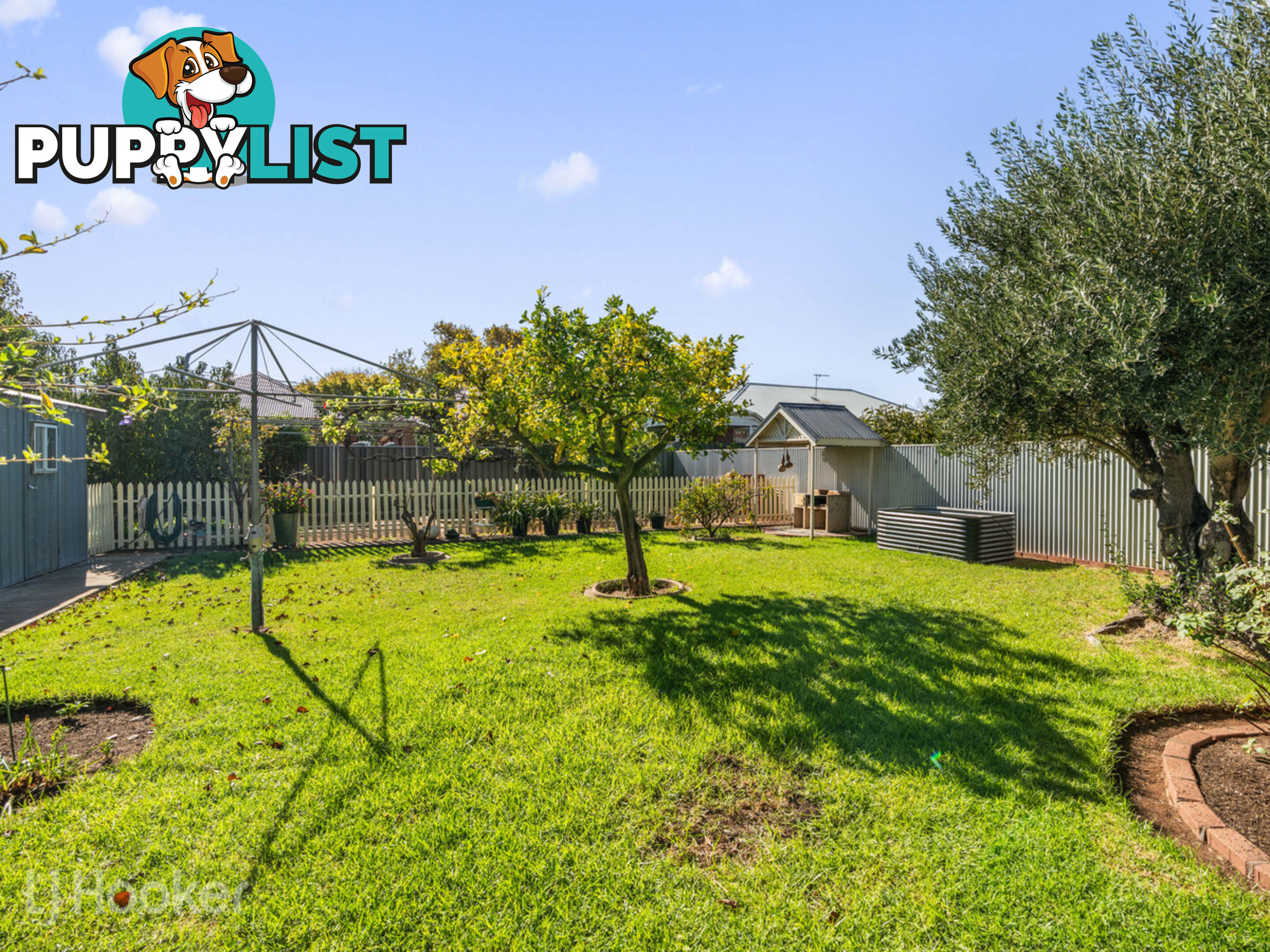 42 Roebuck Street MILE END SA 5031