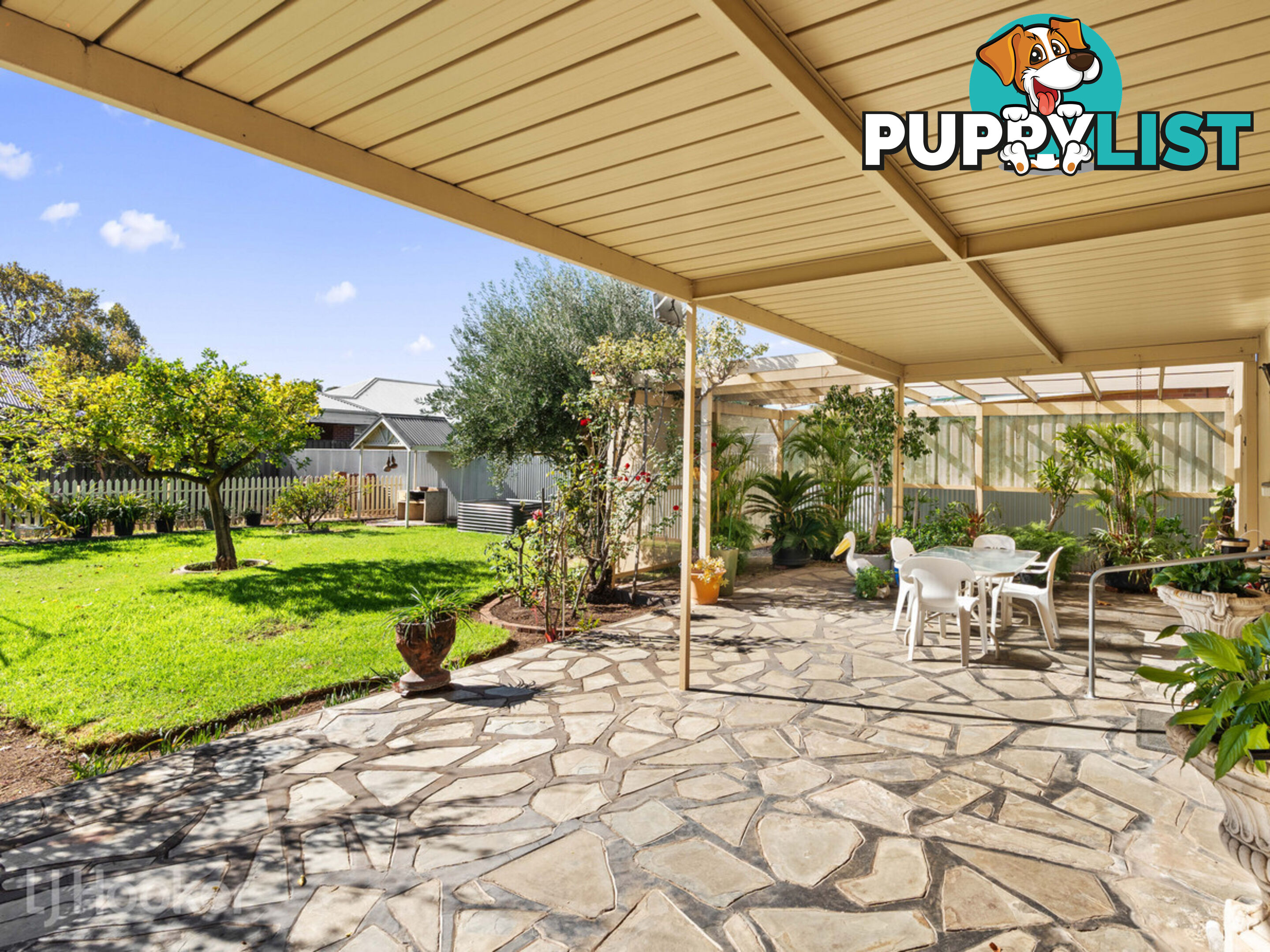 42 Roebuck Street MILE END SA 5031