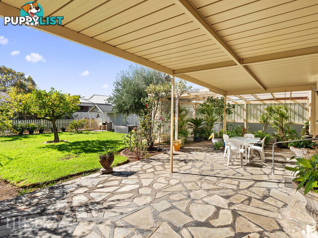 42 Roebuck Street MILE END SA 5031