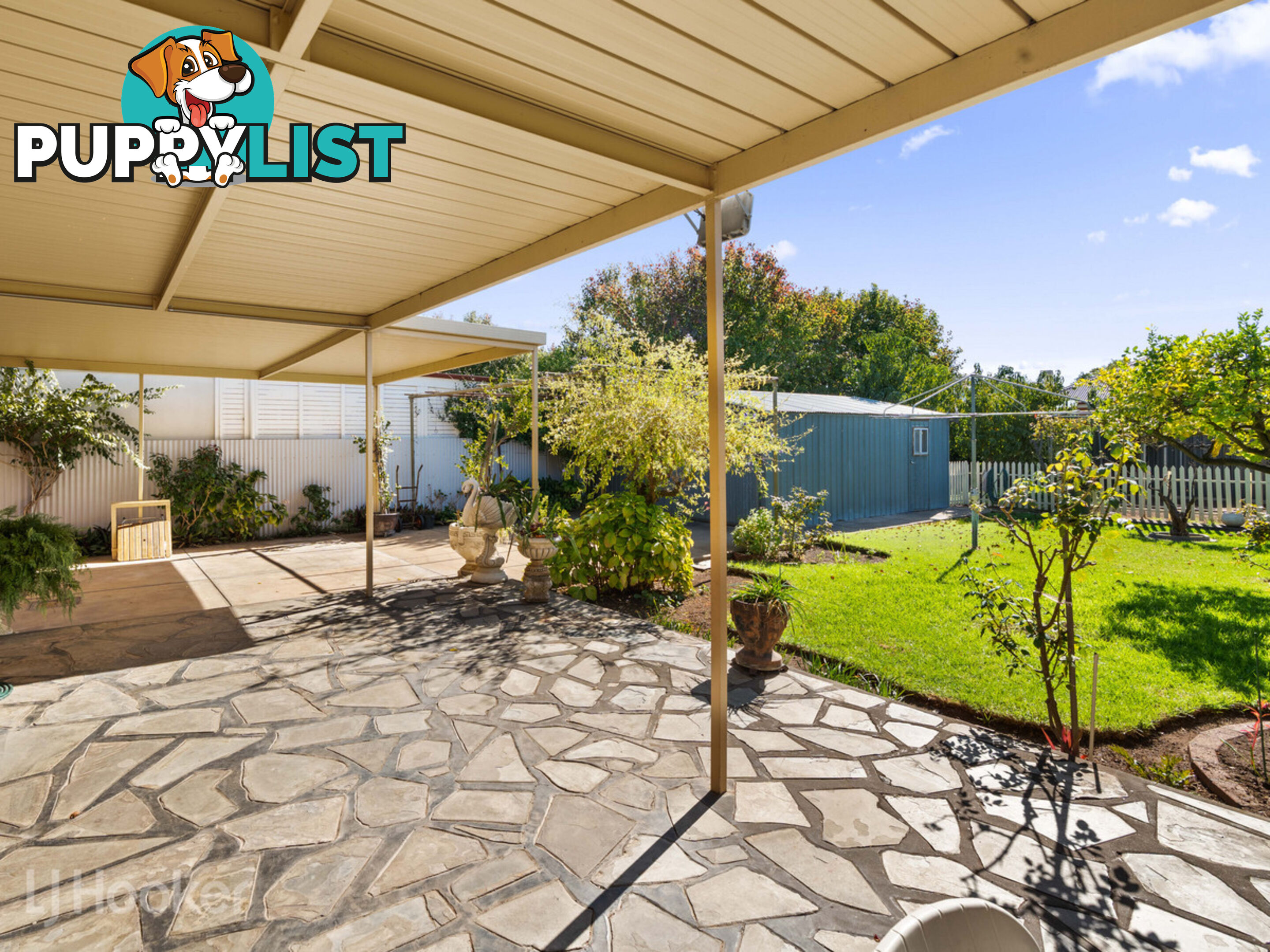 42 Roebuck Street MILE END SA 5031