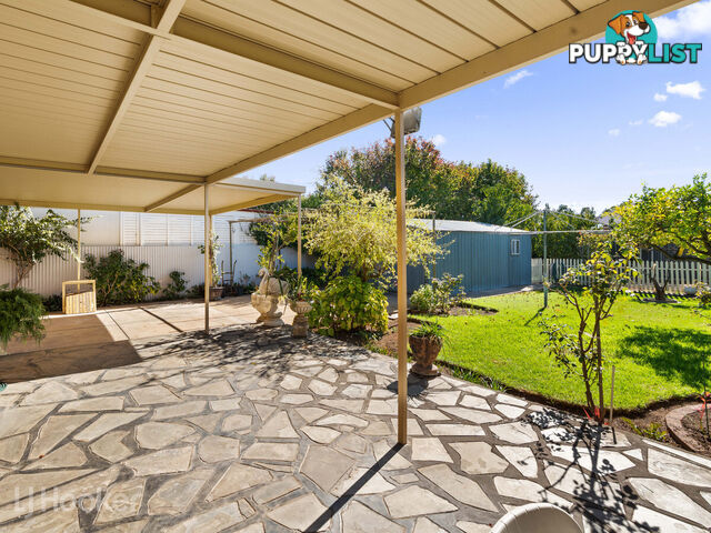 42 Roebuck Street MILE END SA 5031