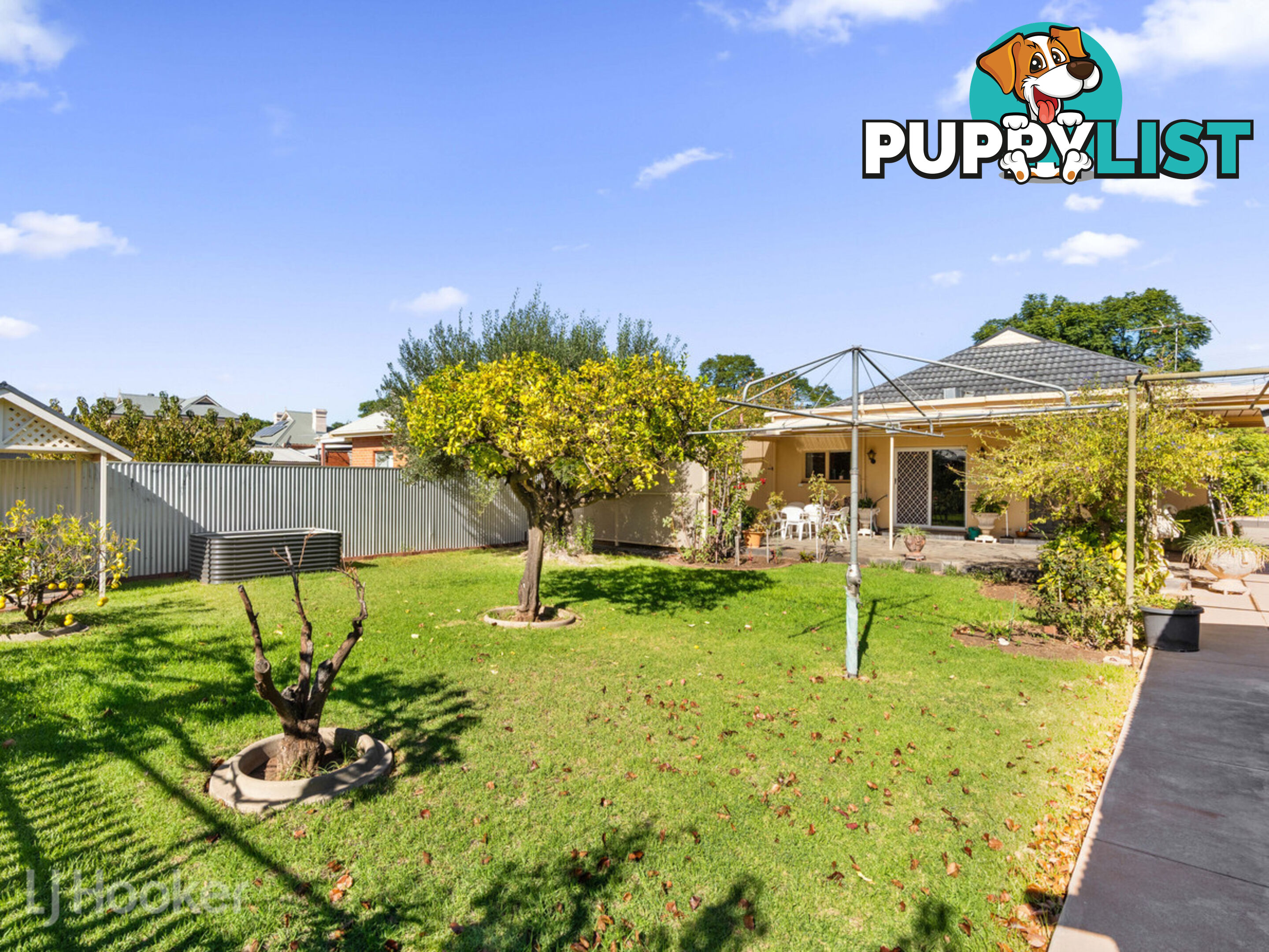 42 Roebuck Street MILE END SA 5031