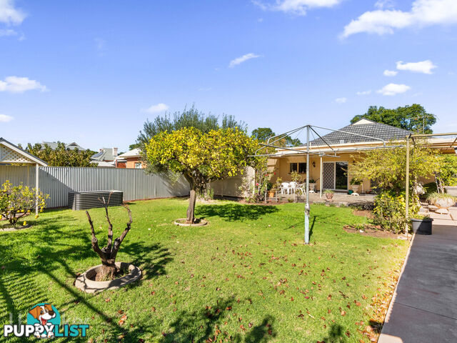 42 Roebuck Street MILE END SA 5031